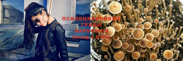 ALPHA-PVP Баксан