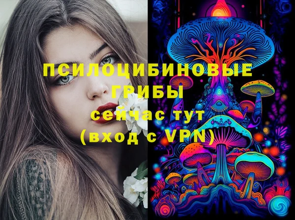 соль ск Балахна